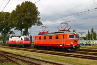 Kliknij aby powiększyć