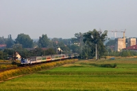 Kliknij aby powiększyć