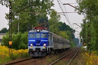 Kliknij aby powiększyć