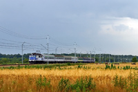 Kliknij aby powiększyć