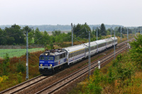 Kliknij aby powiększyć