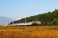 Kliknij aby powiększyć