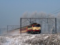 Kliknij aby powiększyć