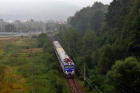 Kliknij aby powiększyć