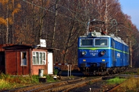 Kliknij aby powiększyć