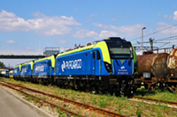 Kliknij aby powiększyć