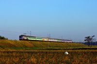 Kliknij aby powiększyć