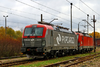 Kliknij aby powiększyć