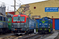 Kliknij aby powiększyć