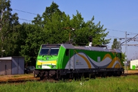 Kliknij aby powiększyć