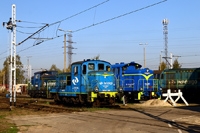 Kliknij aby powiększyć
