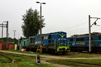 Kliknij aby powiększyć