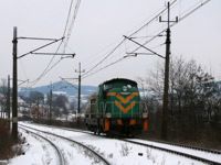 Kliknij aby powiększyć