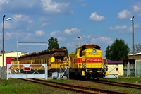 Kliknij aby powiększyć