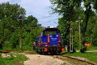 Kliknij aby powiększyć