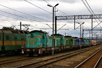 Kliknij aby powiększyć
