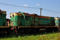 Kliknij aby powiększyć