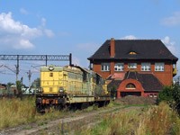 Kliknij aby powiększyć