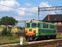 Kliknij aby powiększyć