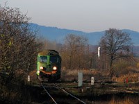 Kliknij aby powiększyć