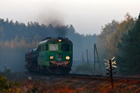 Kliknij aby powiększyć