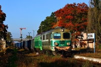 Kliknij aby powiększyć