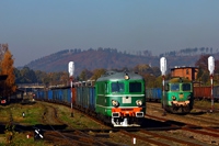 Kliknij aby powiększyć