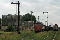 Kliknij aby powiększyć