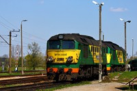 Kliknij aby powiększyć