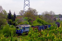 Kliknij aby powiększyć