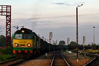 Kliknij aby powiększyć