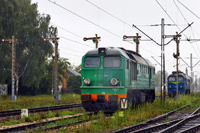Kliknij aby powiększyć