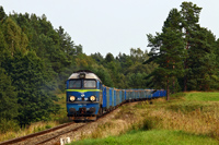 Kliknij aby powiększyć