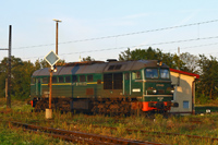 Kliknij aby powiększyć