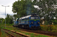 Kliknij aby powiększyć