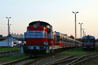 Kliknij aby powiększyć