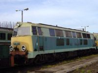 Kliknij aby powiększyć