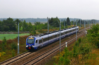 Kliknij aby powiększyć