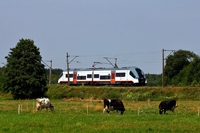 Kliknij aby powiększyć