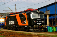 Kliknij aby powiększyć