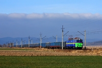 Kliknij aby powiększyć