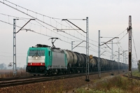 Kliknij aby powiększyć