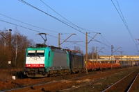 Kliknij aby powiększyć