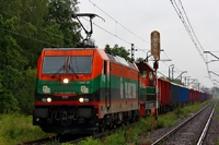 Kliknij aby powiększyć