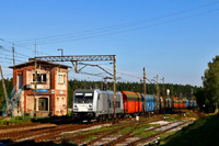 Kliknij aby powiększyć
