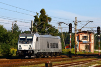 Kliknij aby powiększyć
