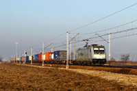 Kliknij aby powiększyć