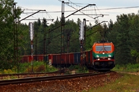 Kliknij aby powiększyć