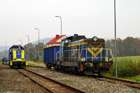 Kliknij aby powiększyć