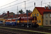 Kliknij aby powiększyć